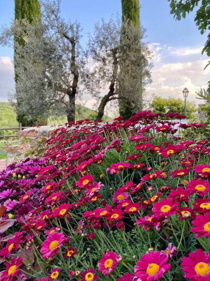 Agriturismo Belagaggio Montefollonico Экстерьер фото