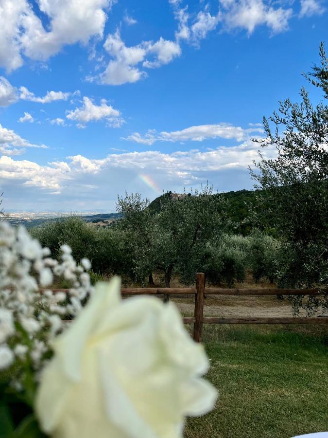 Agriturismo Belagaggio Montefollonico Экстерьер фото