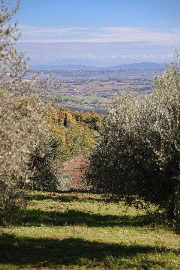 Agriturismo Belagaggio Montefollonico Экстерьер фото
